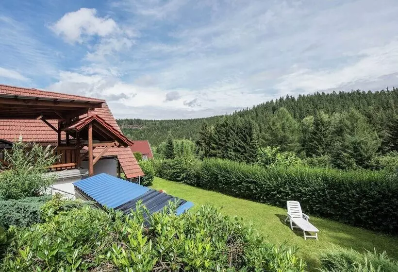 Holiday Home In Thuringia With Terrace