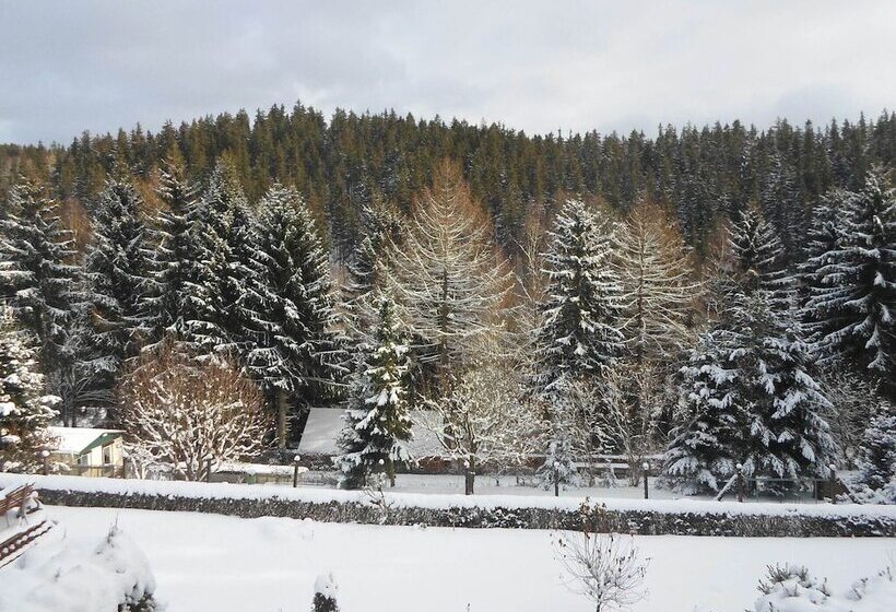 Holiday Home In Thuringia With Terrace