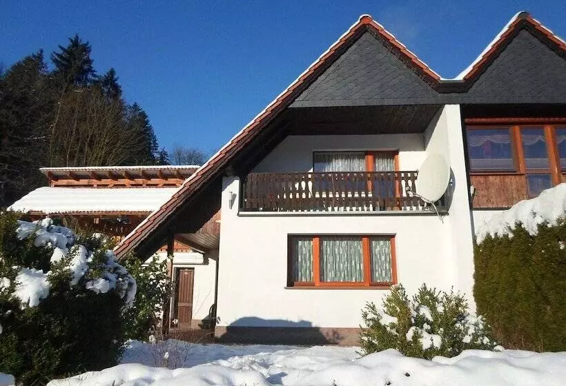 Holiday Home In Thuringia With Terrace