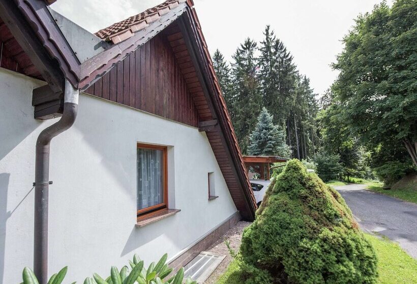 Holiday Home In Thuringia With Terrace
