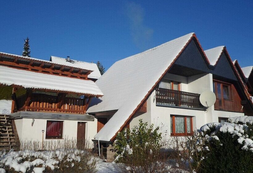 Holiday Home In Thuringia With Terrace