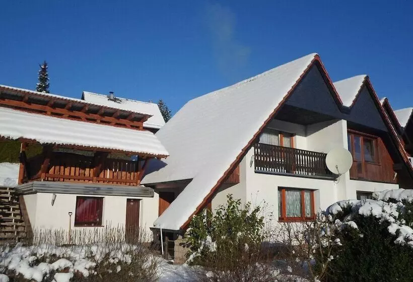 Holiday Home In Thuringia With Terrace