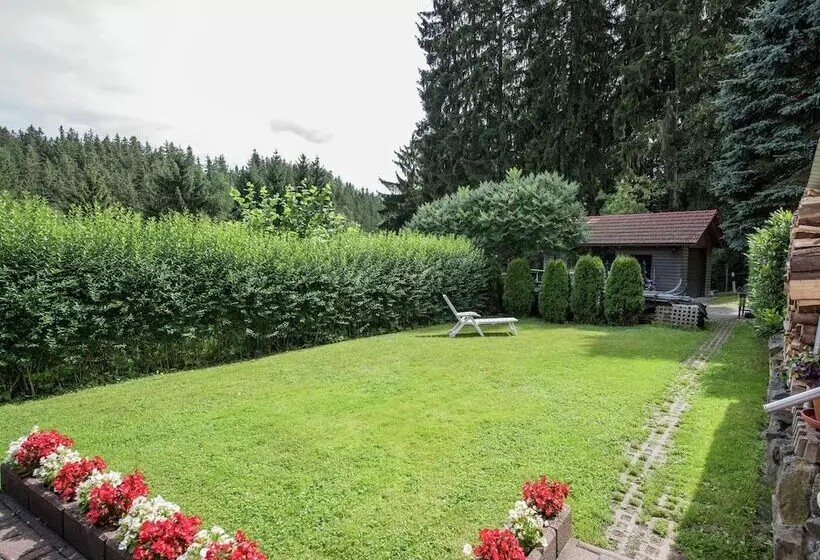 Holiday Home In Thuringia With Terrace