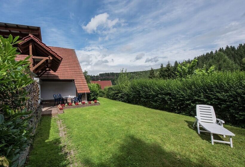 Holiday Home In Thuringia With Terrace