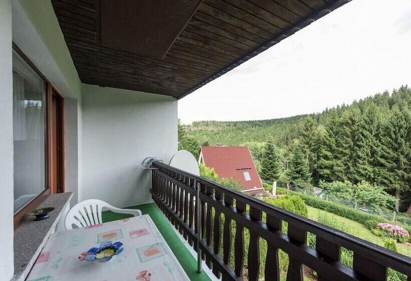 Holiday Home In Thuringia With Terrace