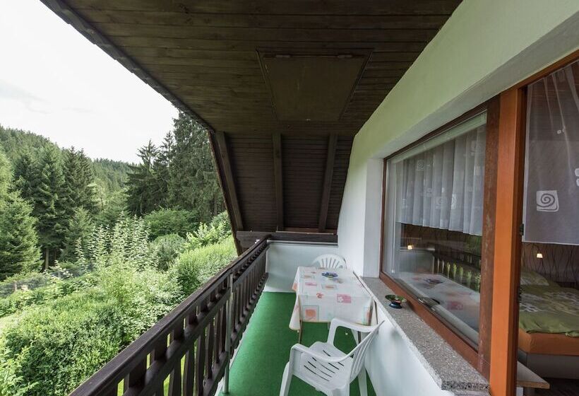 Holiday Home In Thuringia With Terrace