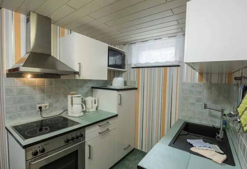 Holiday Home In Thuringia With Terrace