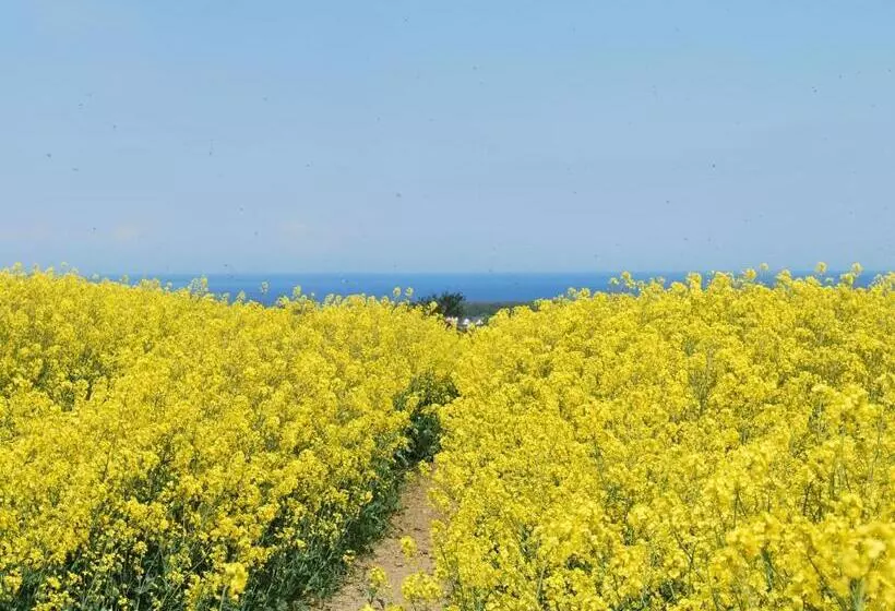 Ansprechende Ferienwohnung Am Hellbach In Neubukow