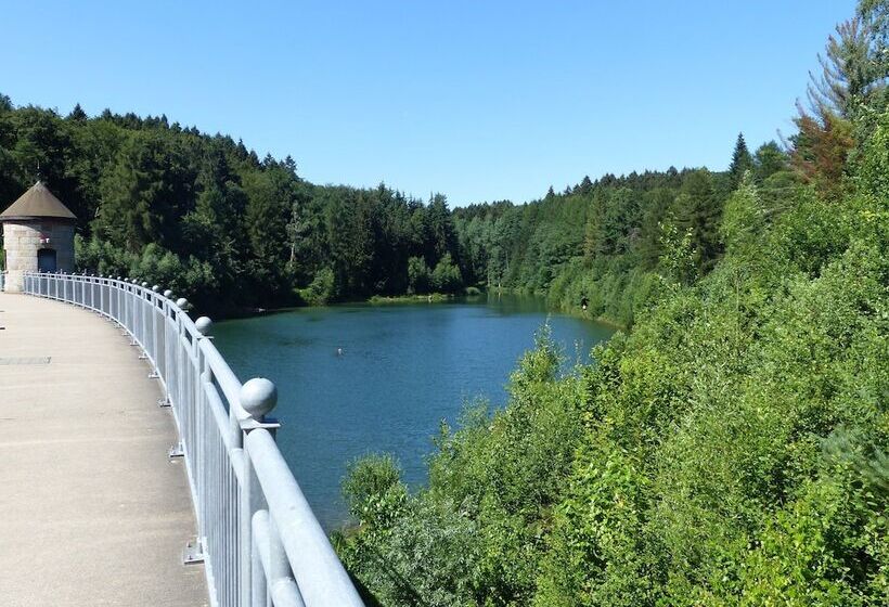 Holiday Flat In Wuppertal With Its Own Pool
