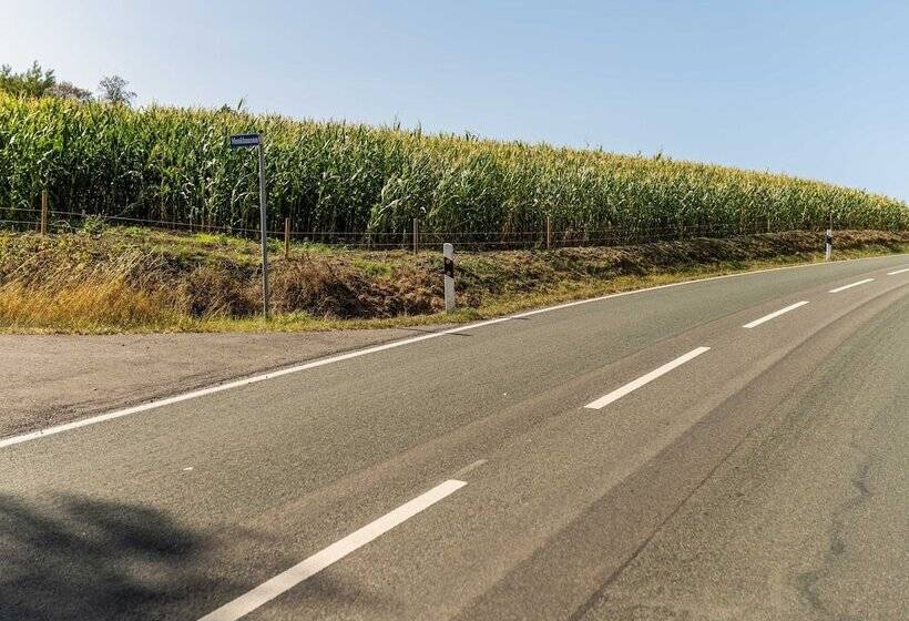 Cosy Apartment In Menkhausen Near The Ski Area