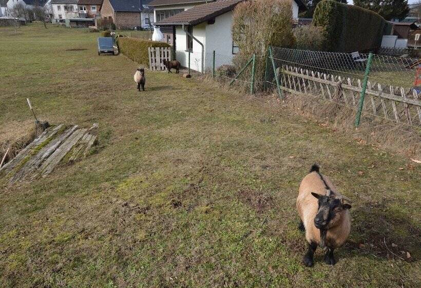 Modern Apartment In Eifel Near Forest