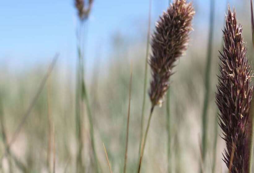 Modern Apartment In Wittenbeck With Terrace Fenced Garden