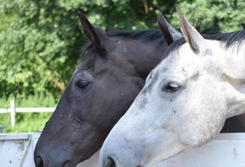 Modern Apartment In Wittenbeck With Terrace Fenced Garden