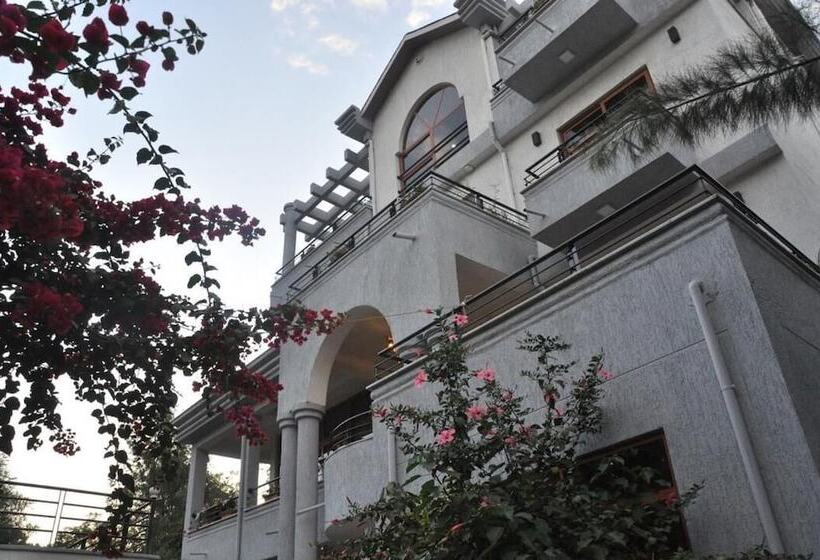 پانسیون Inn Of The Four Sisters