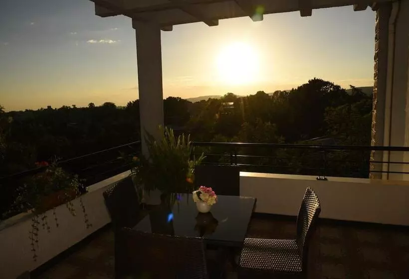 پانسیون Inn Of The Four Sisters