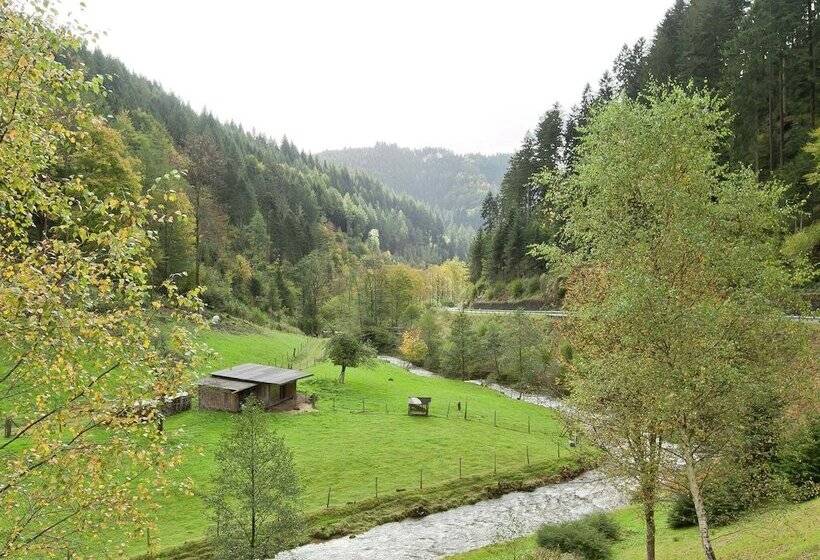 Pretty Apartment In Oppenau Near Black Forest National Park