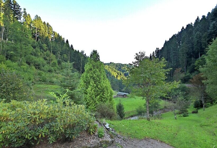 Pretty Apartment In Oppenau Near Black Forest National Park