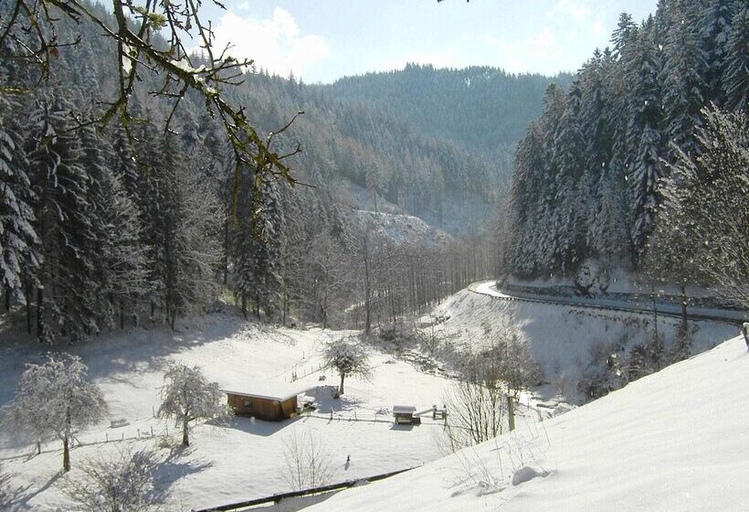 Pretty Apartment In Oppenau Near Black Forest National Park