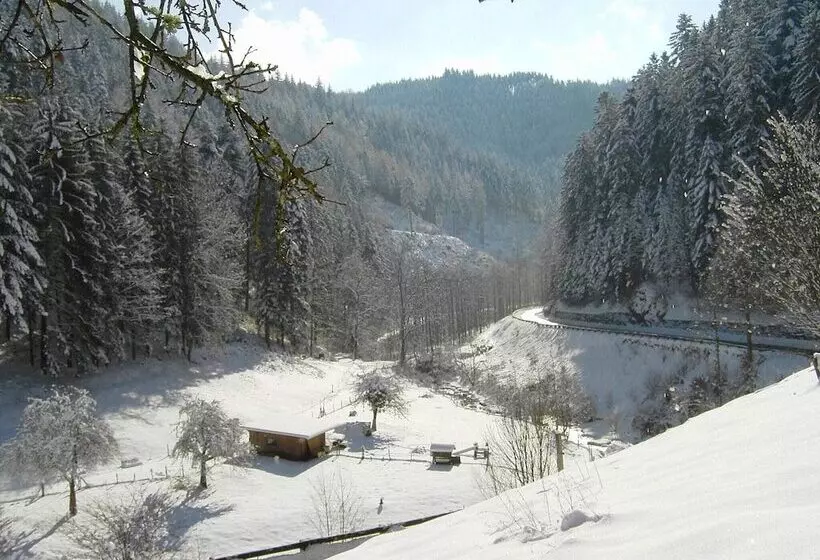 Pretty Apartment In Oppenau Near Black Forest National Park