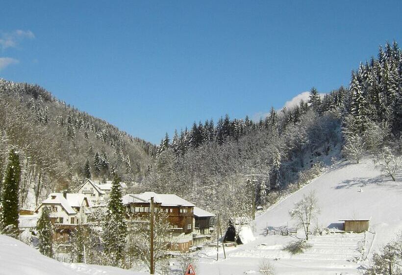 Pretty Apartment In Oppenau Near Black Forest National Park