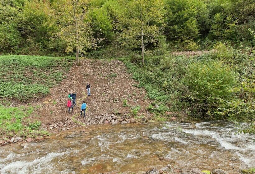 Pretty Apartment In Oppenau Near Black Forest National Park