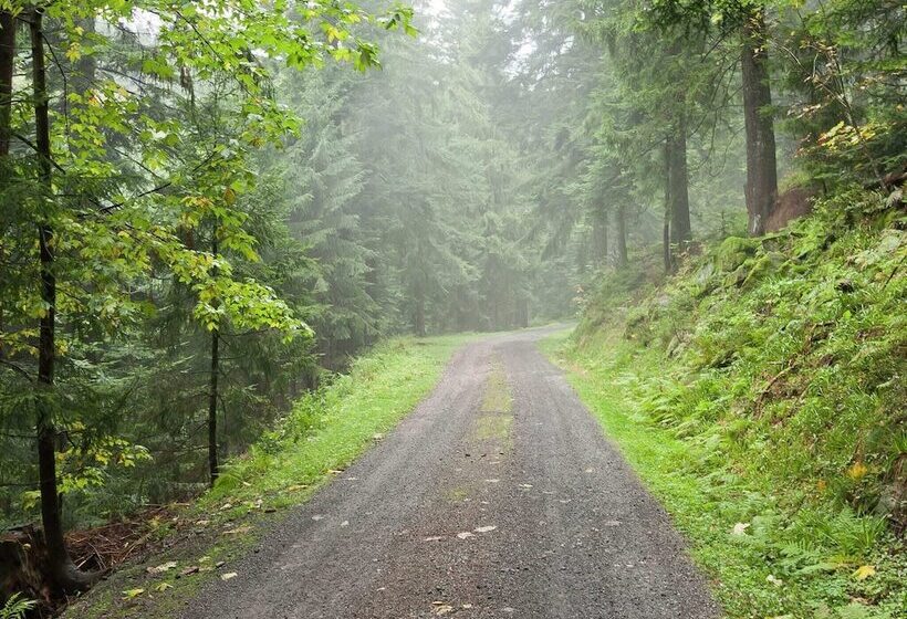 Pretty Apartment In Oppenau Near Black Forest National Park