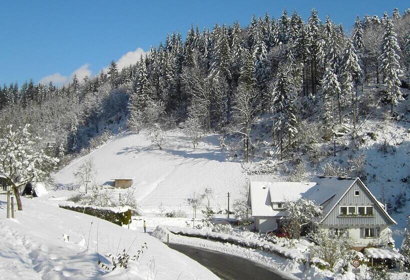 Pretty Apartment In Oppenau Near Black Forest National Park