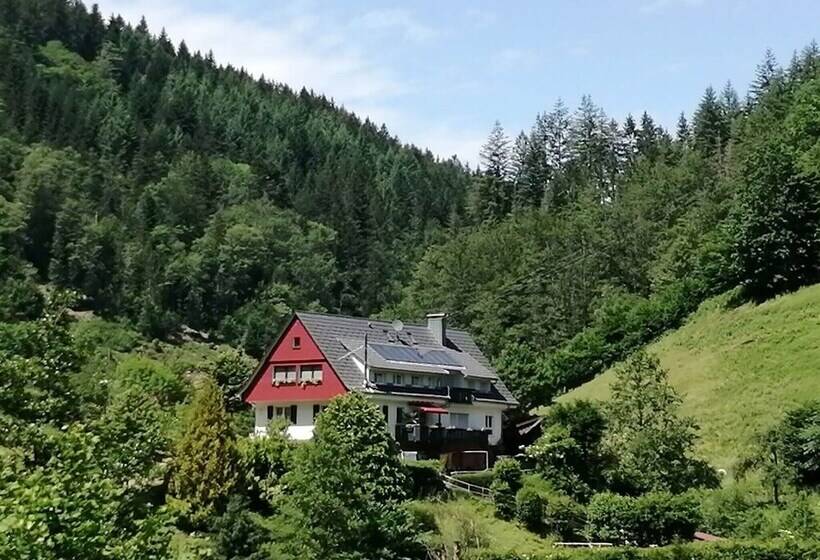 Pretty Apartment In Oppenau Near Black Forest National Park