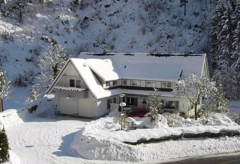 Pretty Apartment In Oppenau Near Black Forest National Park