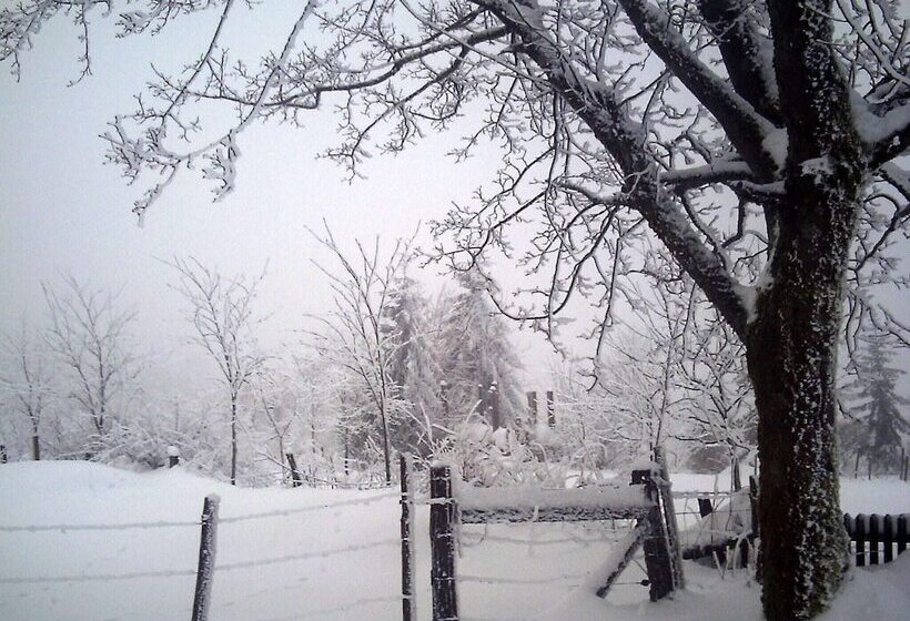 Cosy Apartment In Menkhausen Near The Ski Area