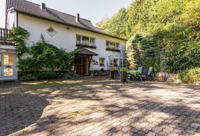 Cosy Apartment In Menkhausen Near The Ski Area