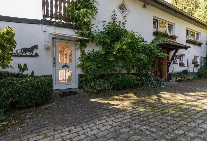 Cosy Apartment In Menkhausen Near The Ski Area