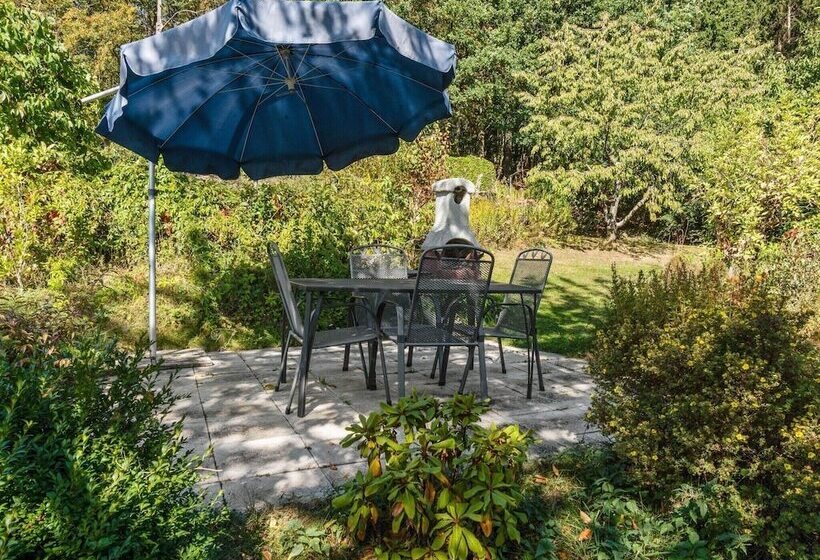 Cosy Apartment In Menkhausen Near The Ski Area