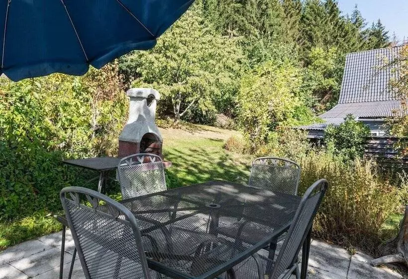 Cosy Apartment In Menkhausen Near The Ski Area