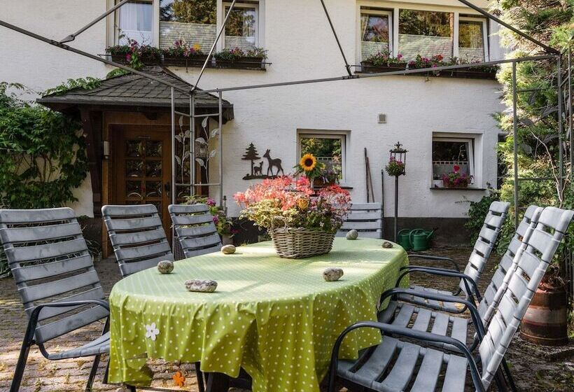 Cosy Apartment In Menkhausen Near The Ski Area