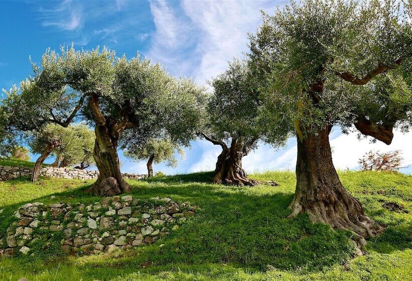 ベッドアンドブレックファースト Al 33 Giri