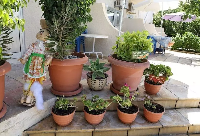 C & A Hotel Apartments