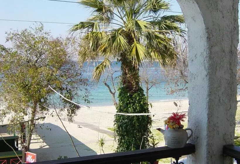 Captain S Beach Apartments