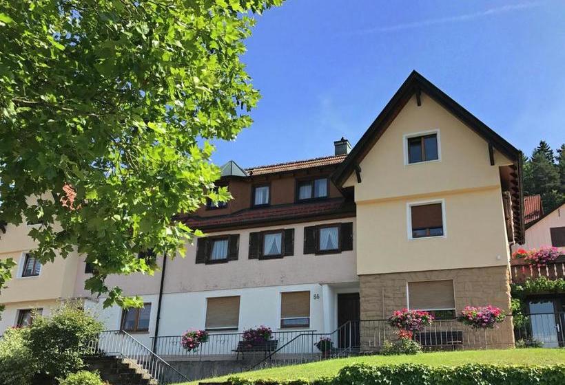 Cosy Apartment In Baiersbronn With Terrace And Garden