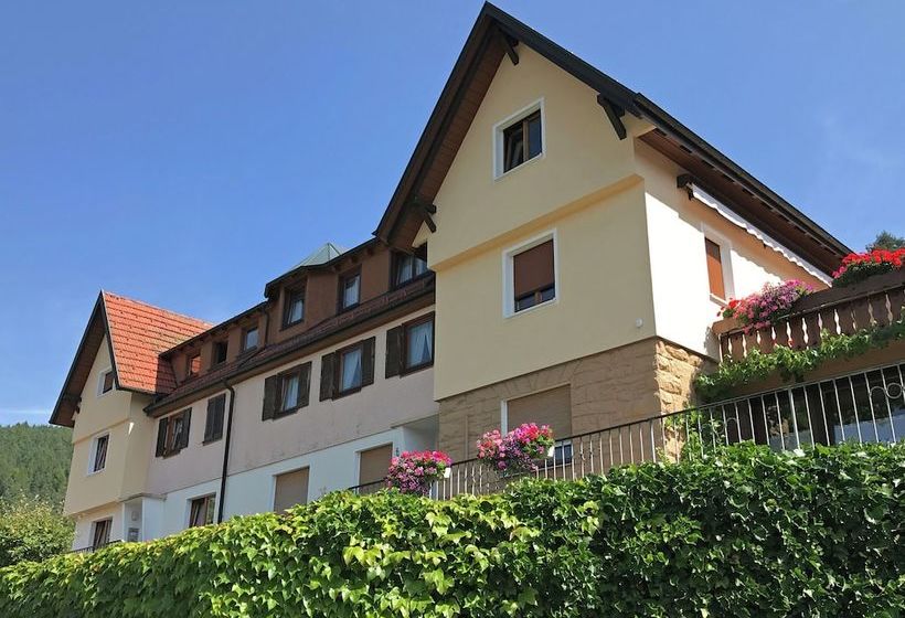 Cosy Apartment In Baiersbronn With Terrace And Garden