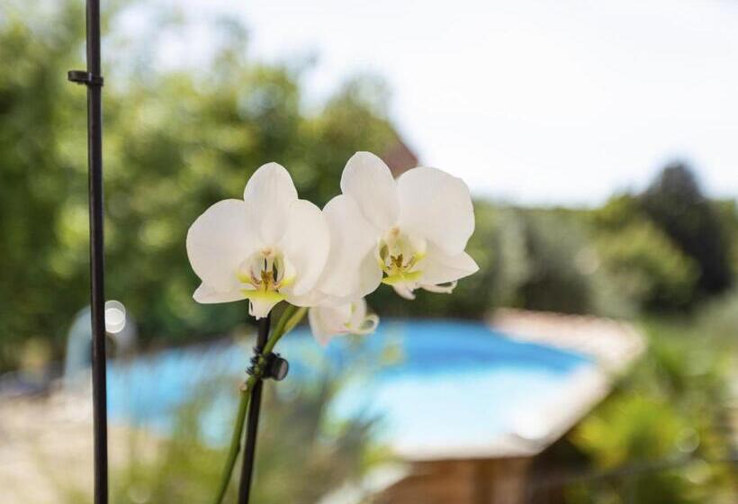 Modern Holiday Home With Private Pool