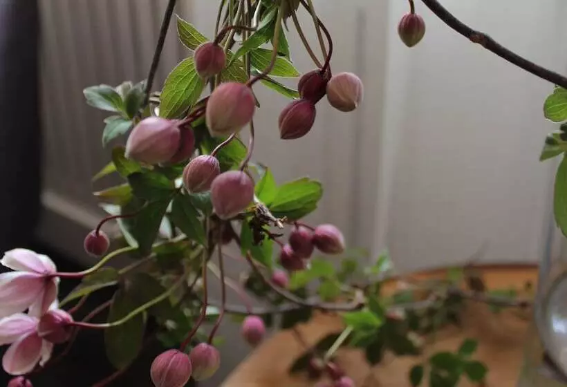 ホテル På Torvet