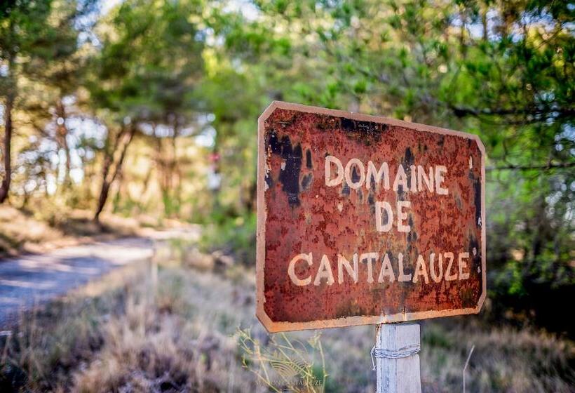 פנסיון La Maison Vigneronne