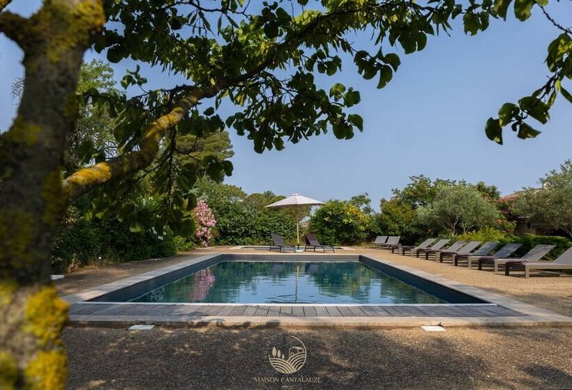 פנסיון La Maison Vigneronne