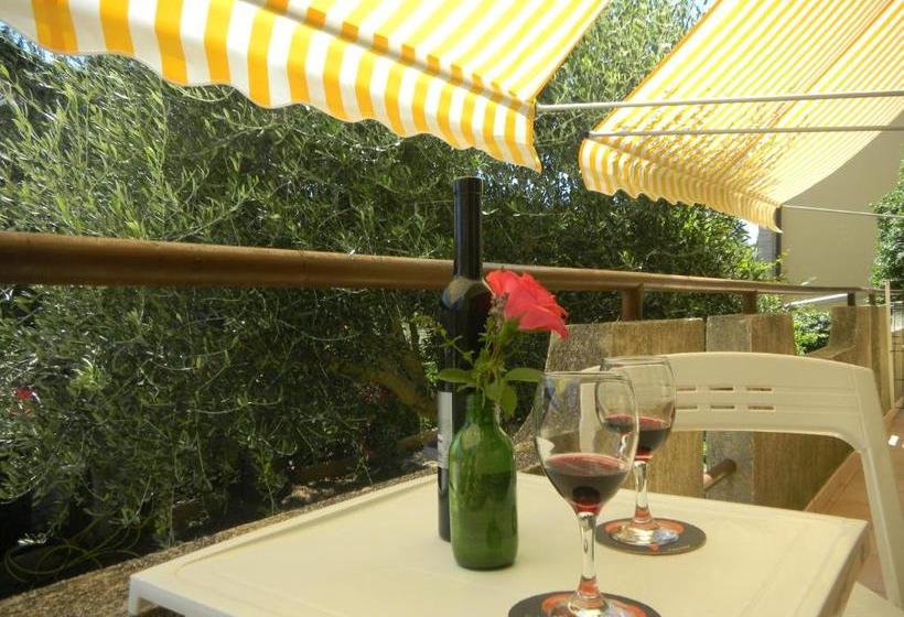 Sunny Hill Apartments