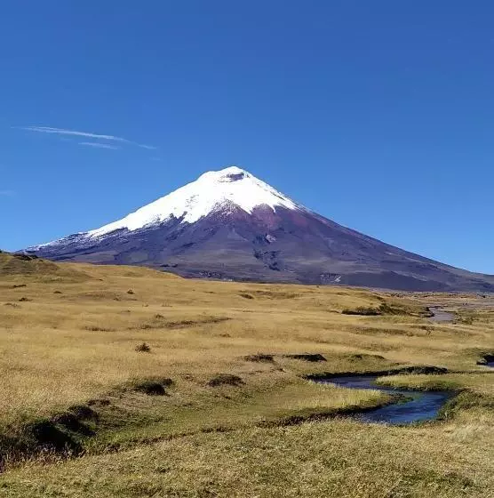Aamiaismajoitus (B&B) Villa Victoria
