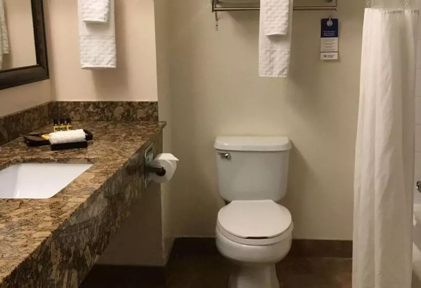 هتل Best Western Plus Universal Inn