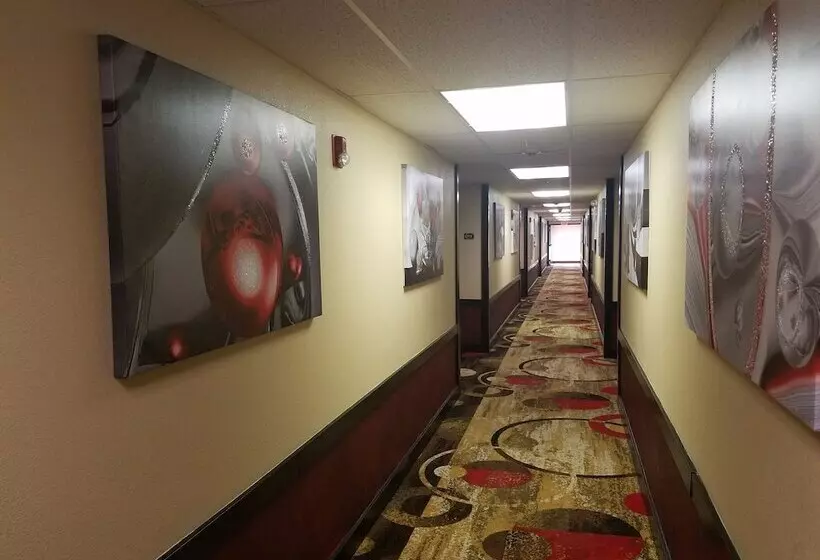 ホテル Super 8 By Wyndham Wichita North