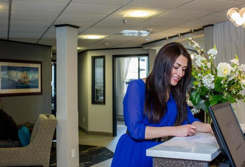 Szálloda The Voyager Inn