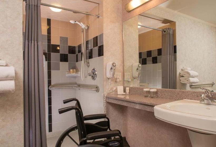 Szálloda The Voyager Inn